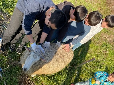 唐津民泊体験に行ってきました！