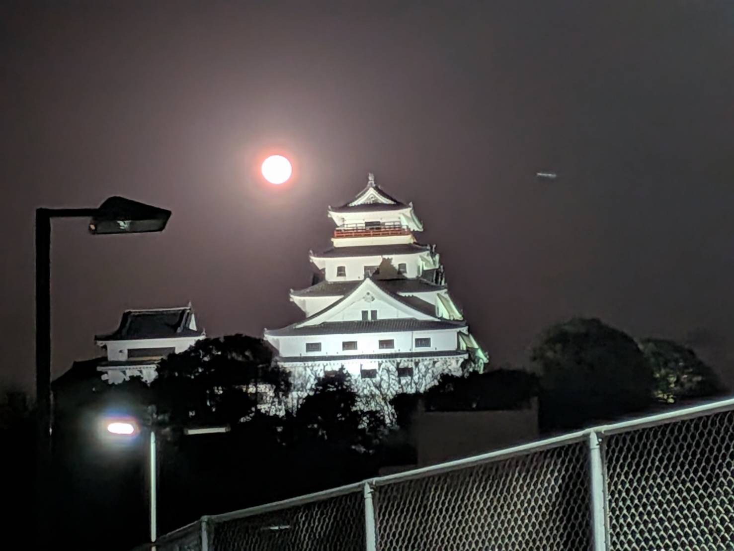 夜の唐津城の美しい姿