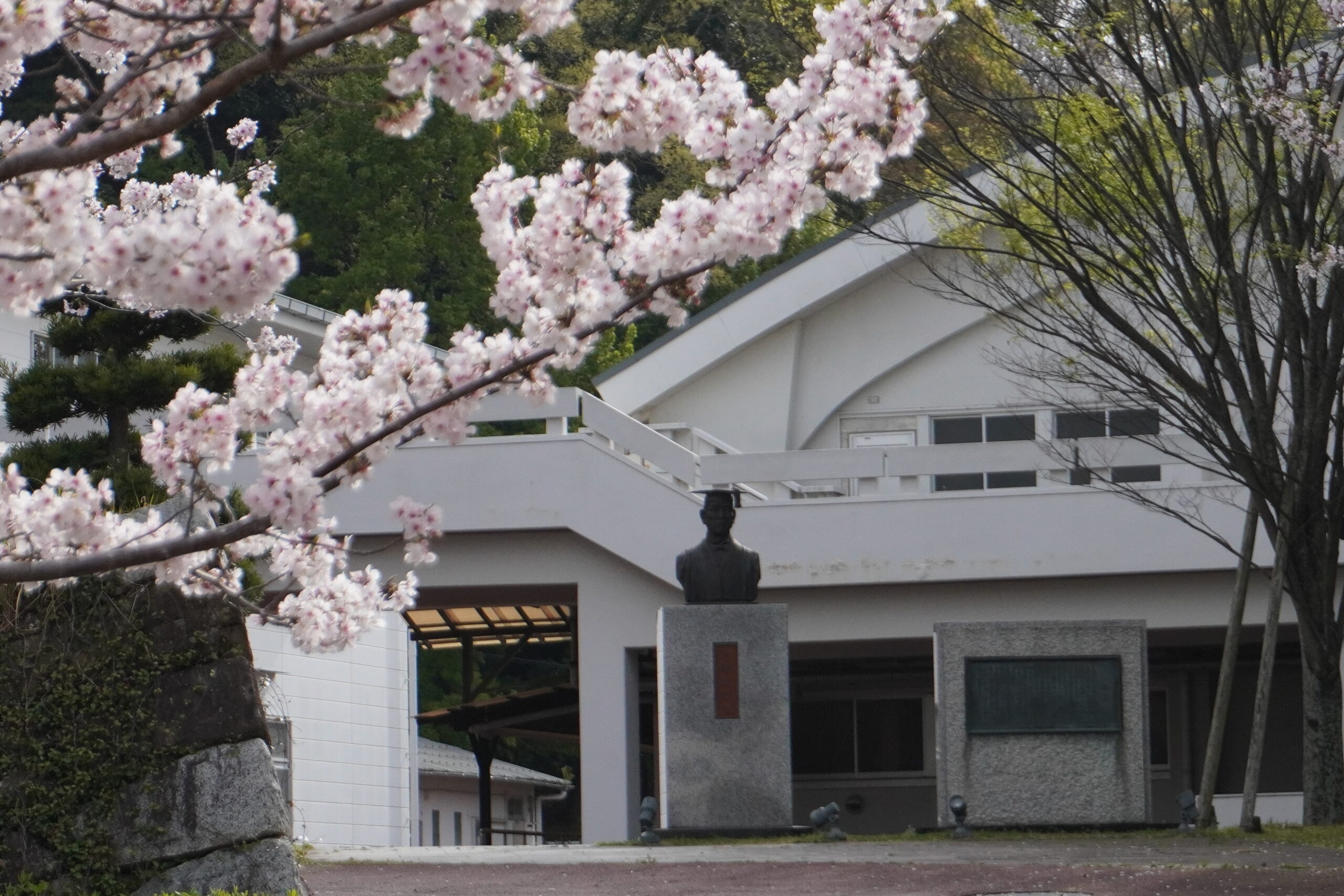 新学期が始まりました！